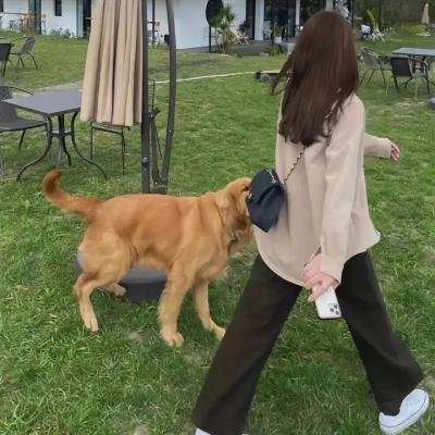 玫瑰母亲
